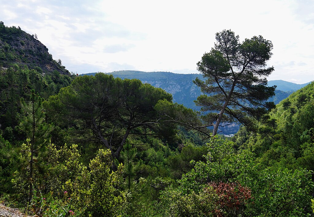 Chauffage géothermique Alpes-Maritimes