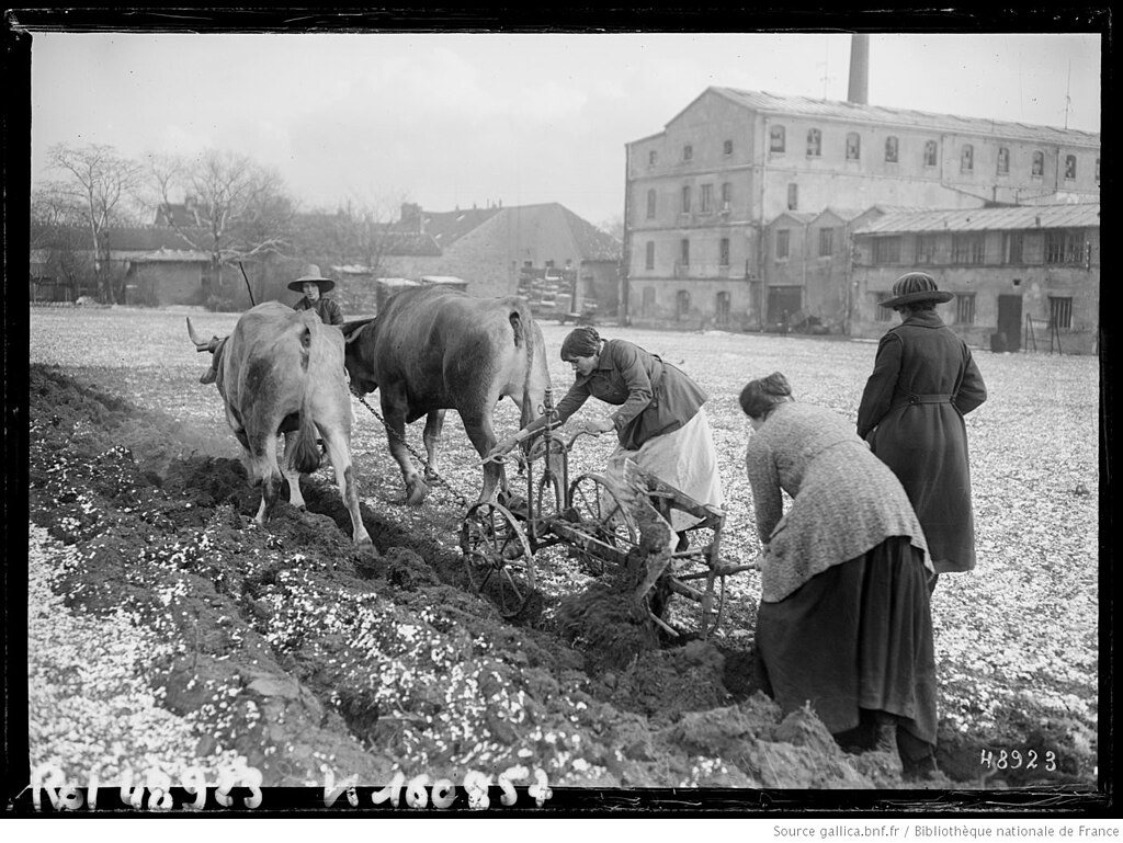 Chauffage géothermique Val-de-Marne