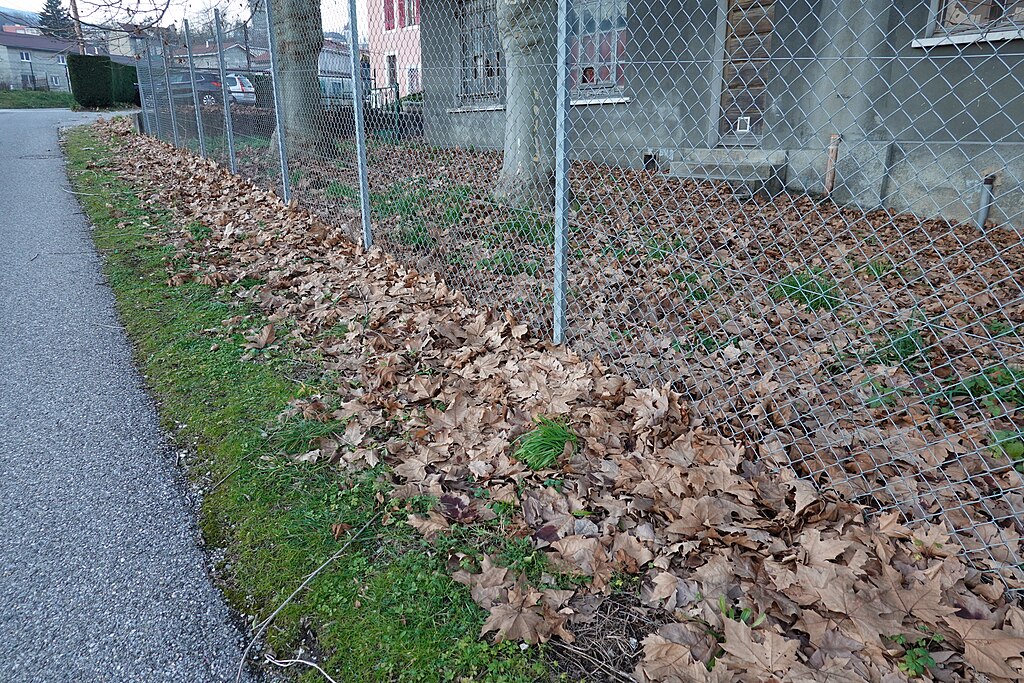 Chauffage géothermique Bellegarde-sur-Valserine