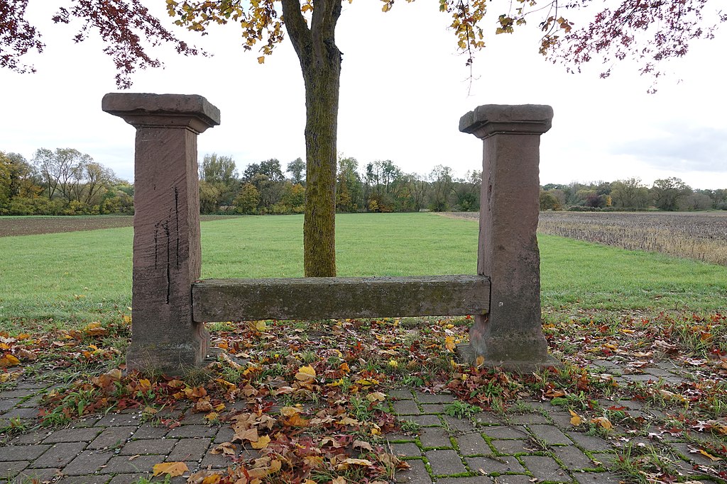 Chauffage géothermique Sélestat