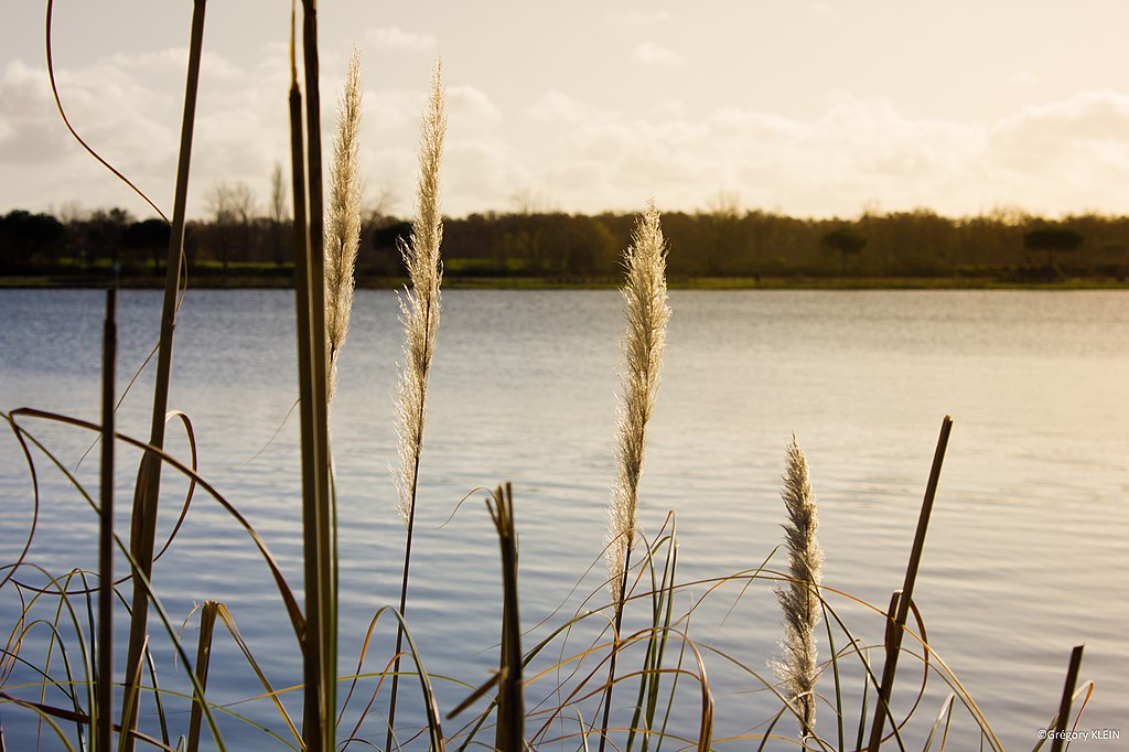 Chauffage géothermique Tournefeuille