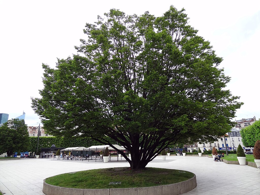 Chauffage géothermique Puteaux