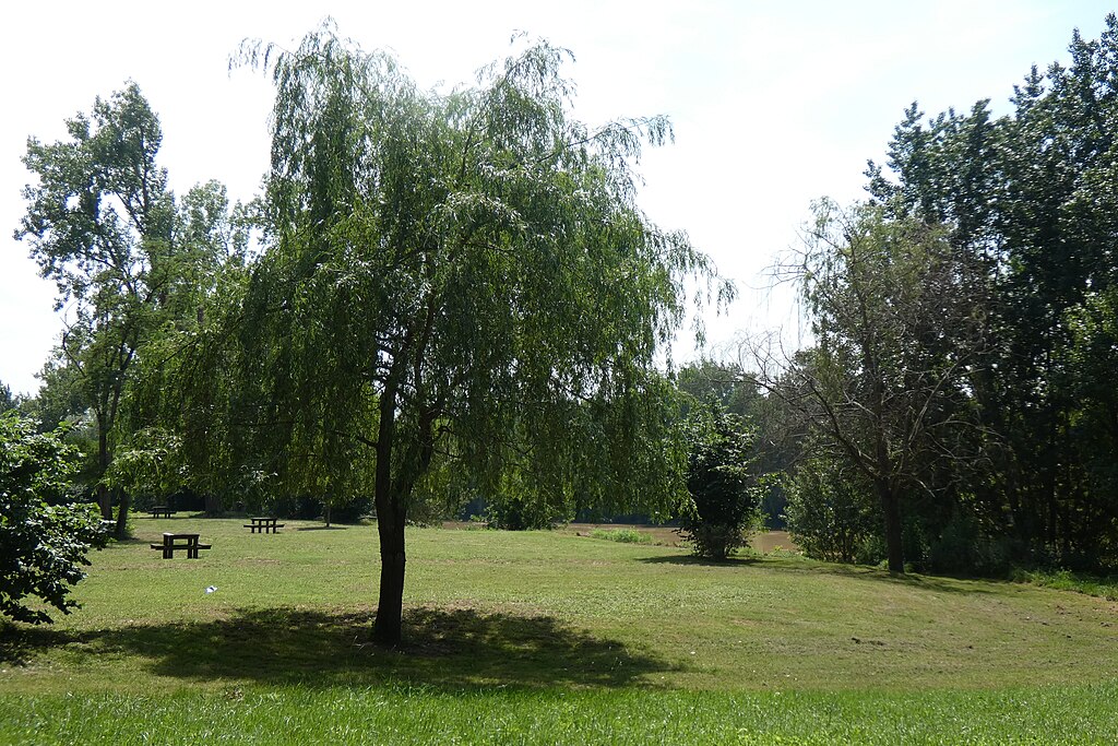 Chauffage géothermique Marmande